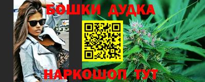 прущие крисы Будённовск
